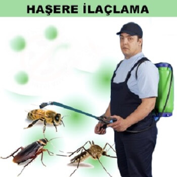 Esenler Böcek İlaçlama